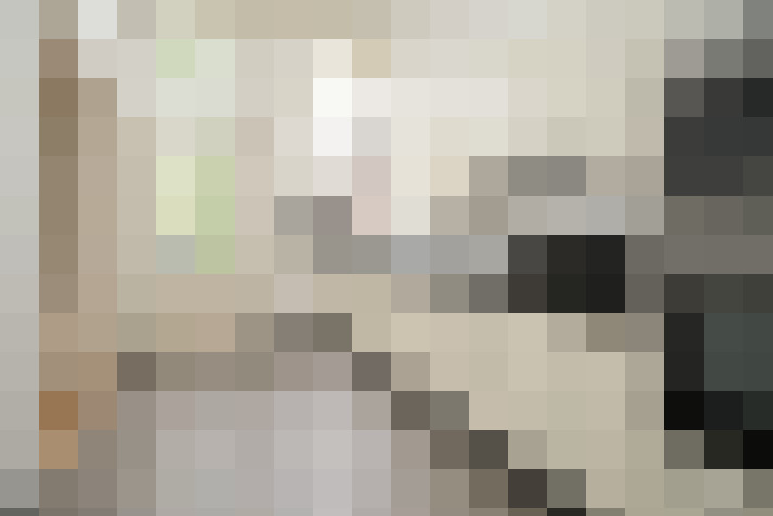  / #23