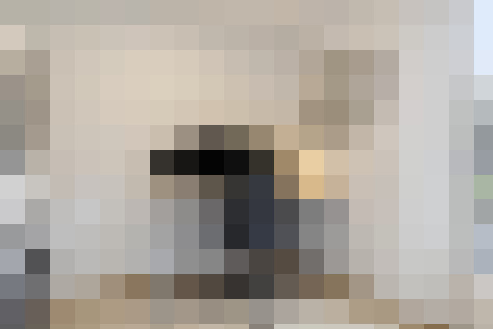  / #13