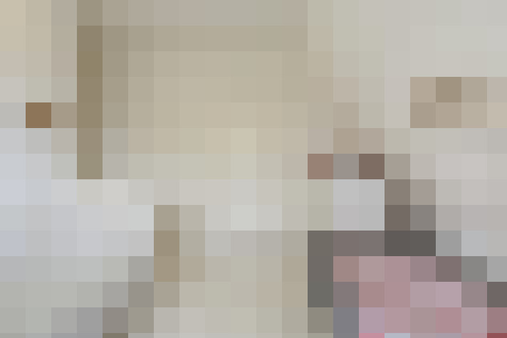  / #18