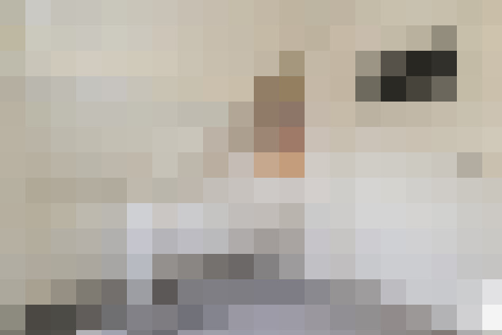  / #20