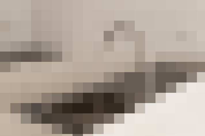  / #8