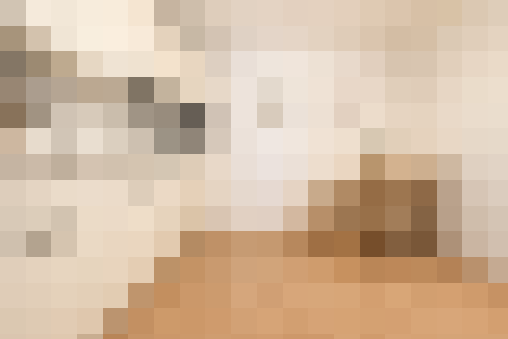  / #18