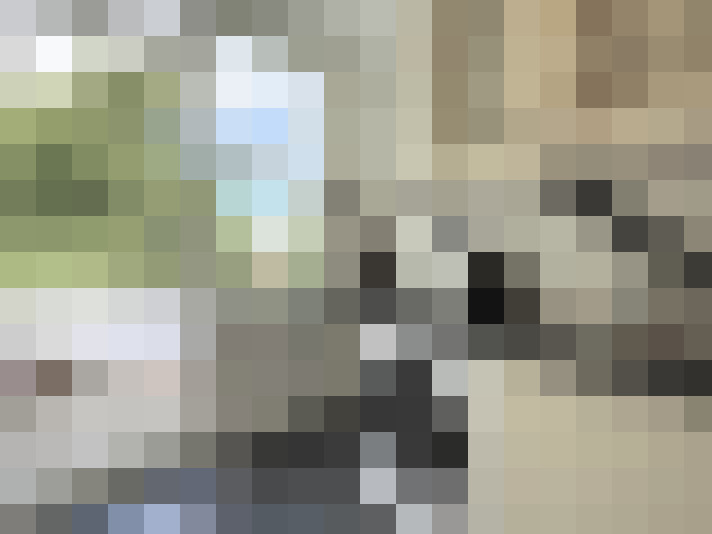  / #14