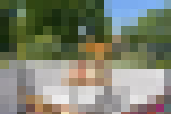  / #17