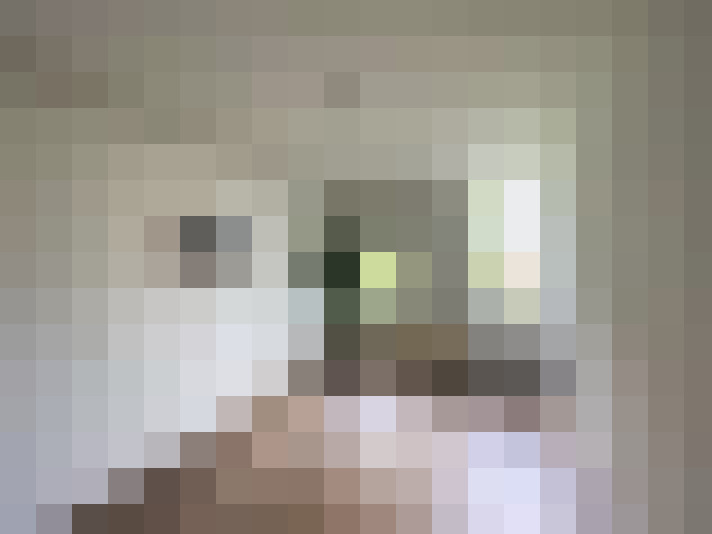  / #22