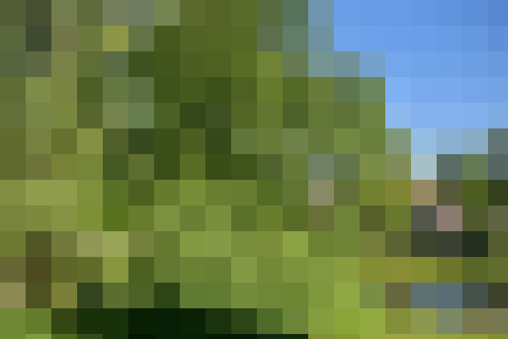  / #16