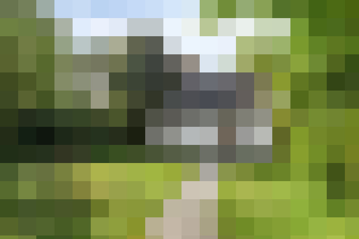  / #7