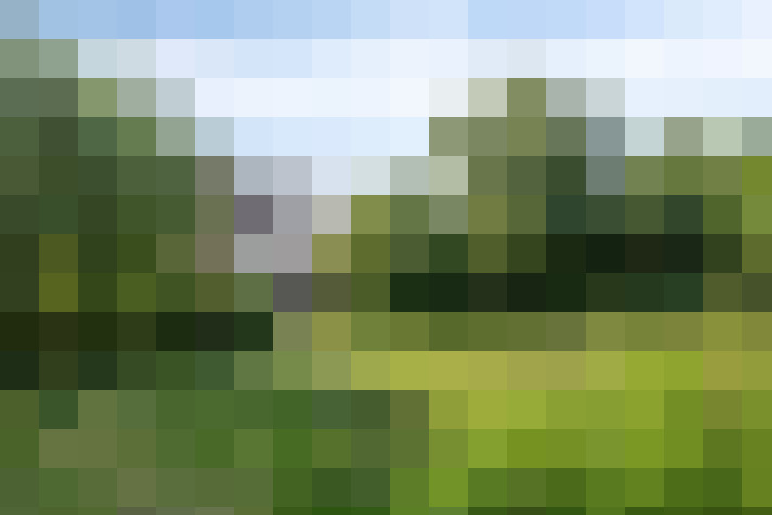  / #10