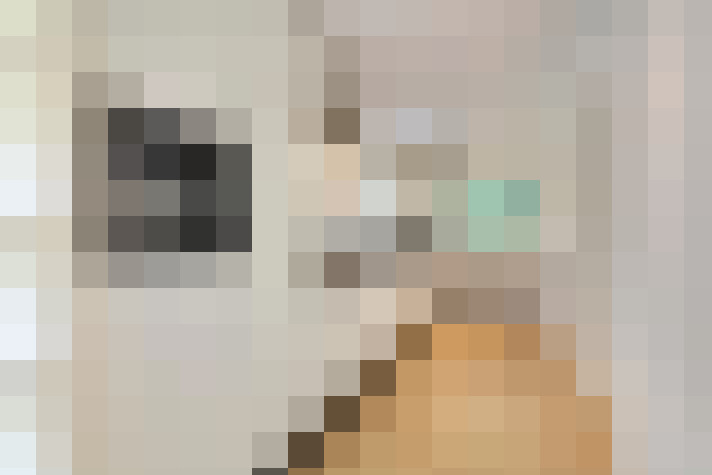  / #18