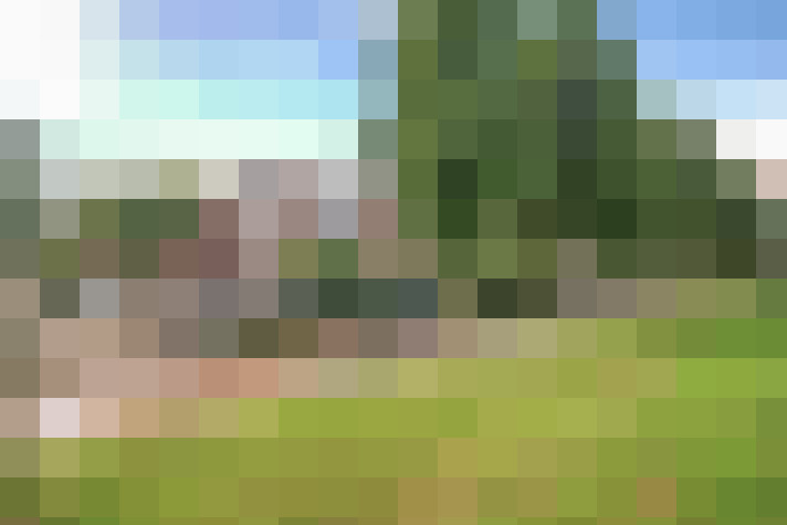  / #7