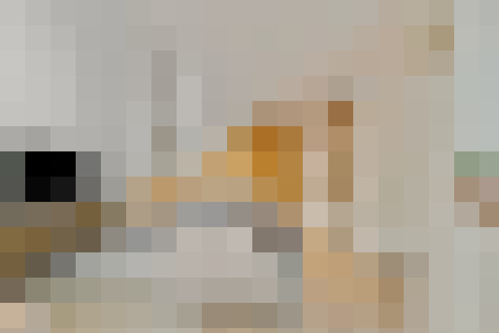  / #21