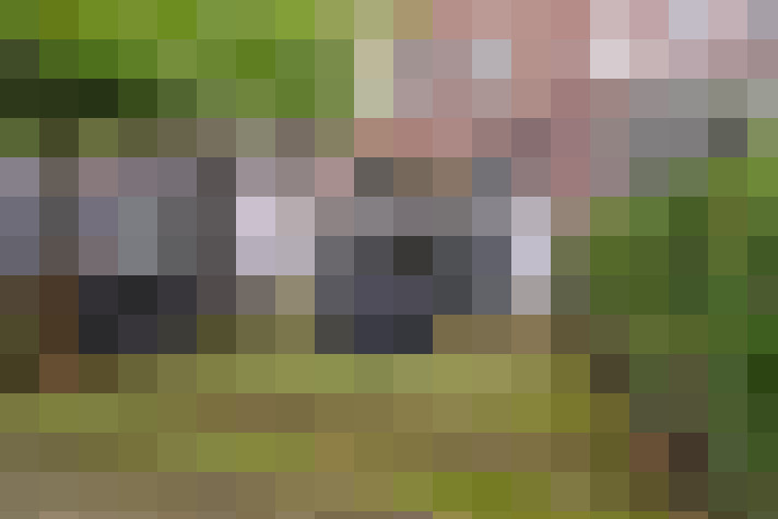  / #12