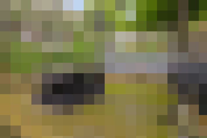  / #14