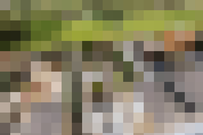 / #17
