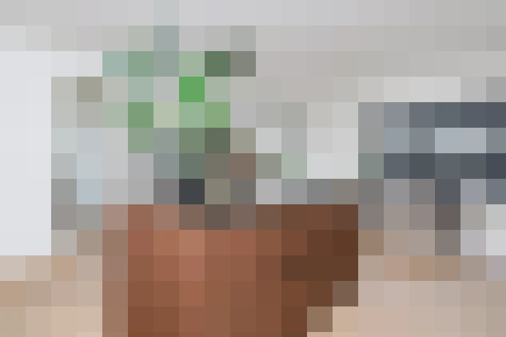  / #12