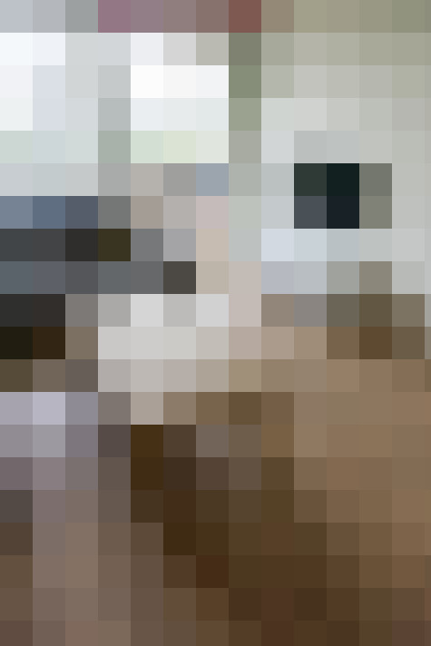  / #15