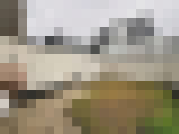  / #17