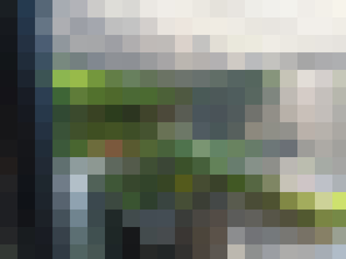  / #17