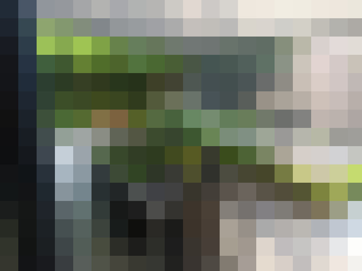  / #16