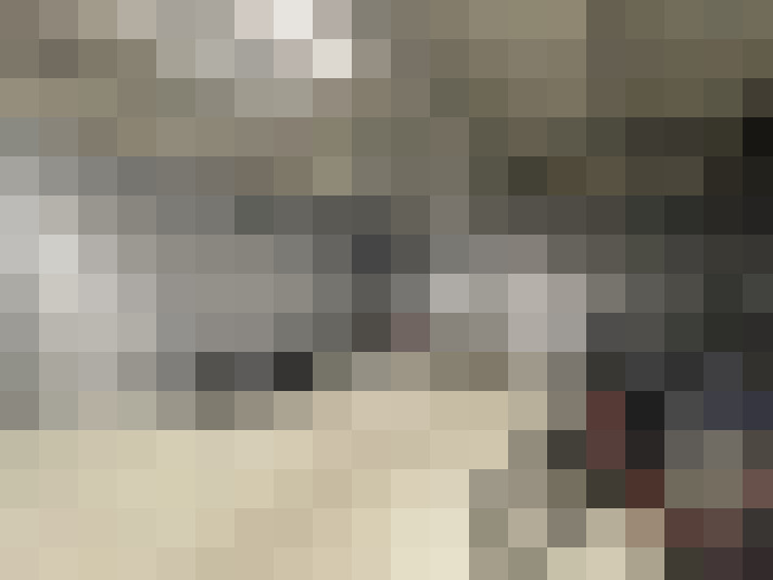  / #15