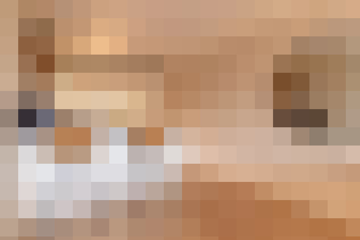  / #15