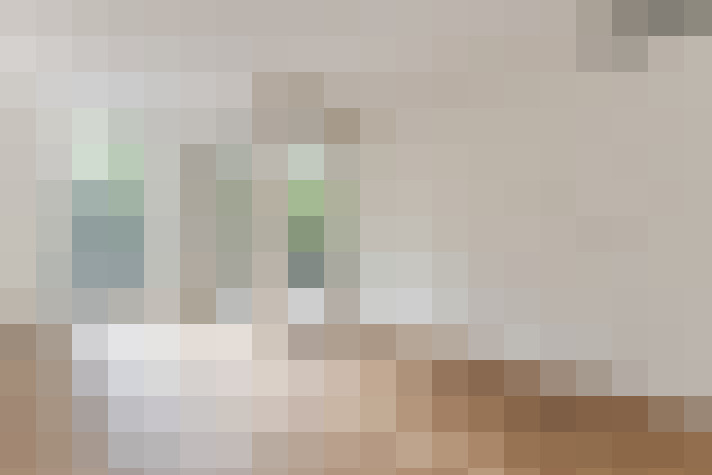  / #18