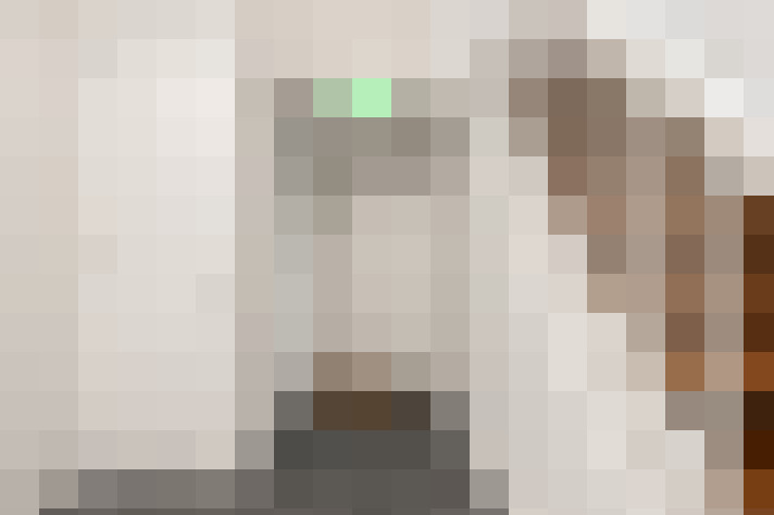 / #12