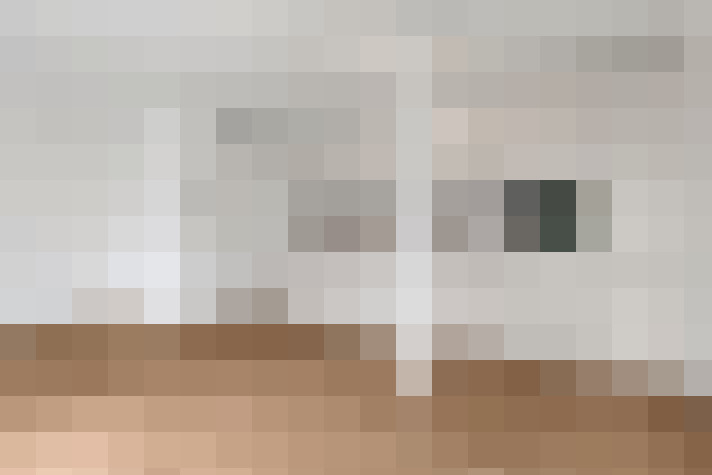  / #19