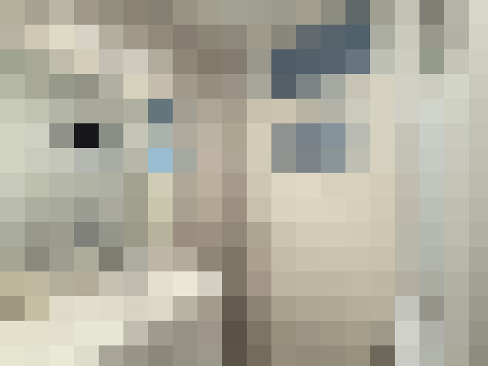  / #15