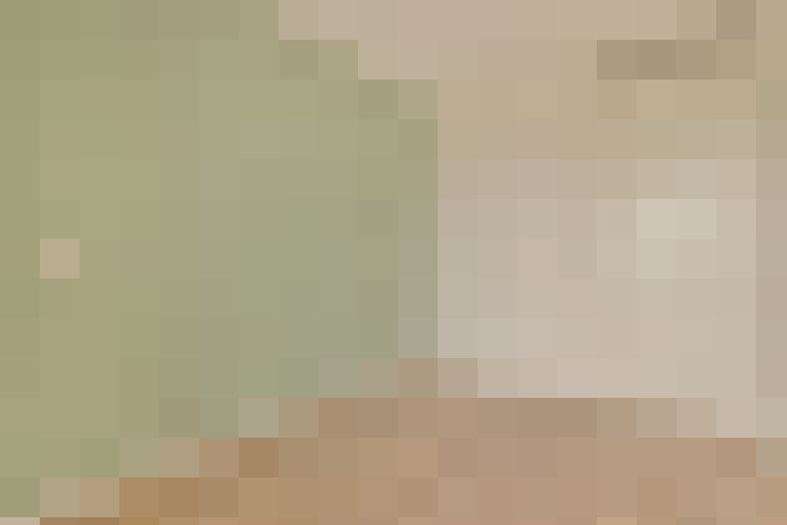  / #21