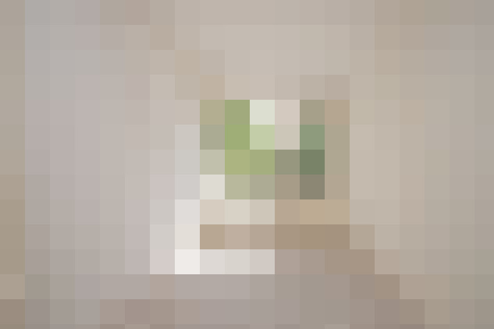  / #19