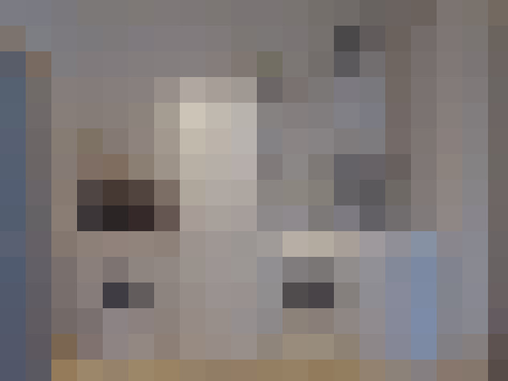  / #8