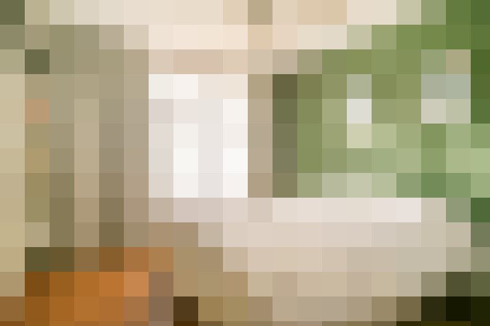  / #20