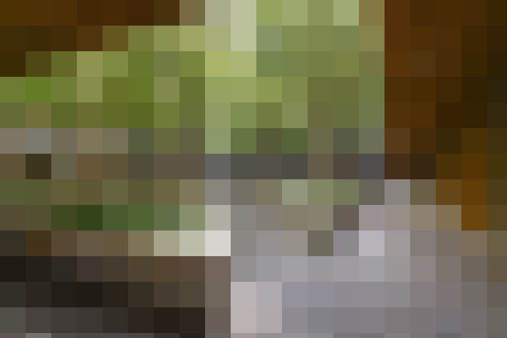  / #13