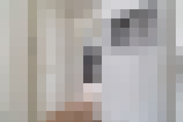  / #17