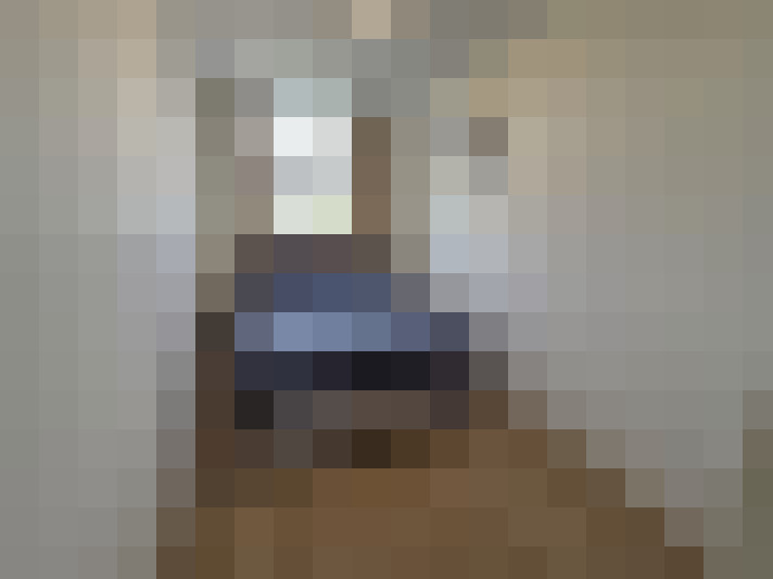  / #8