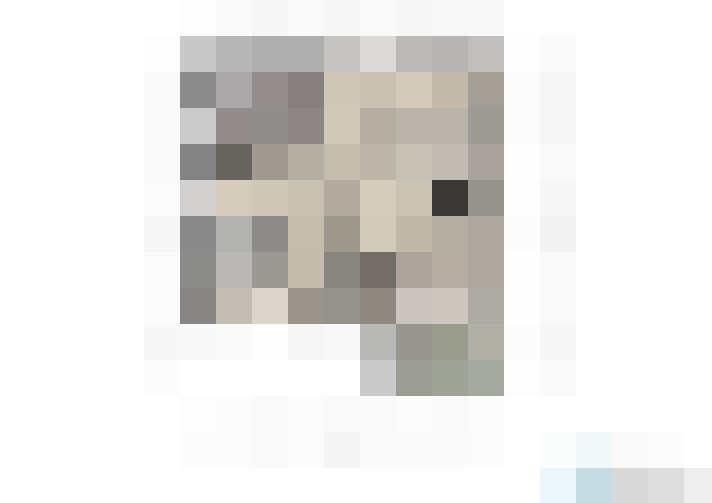  / #19