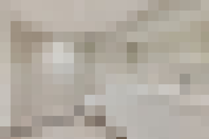  / #19