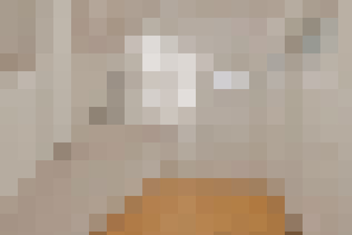  / #24