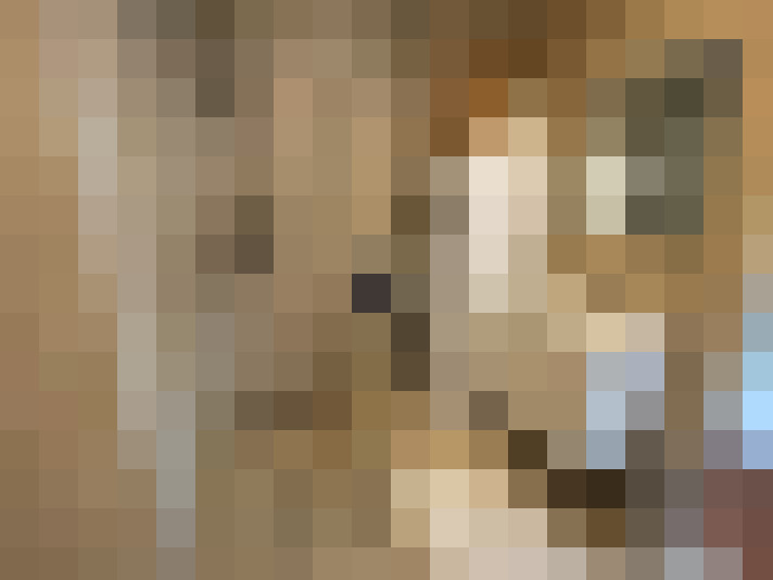  / #13