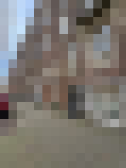  / #11