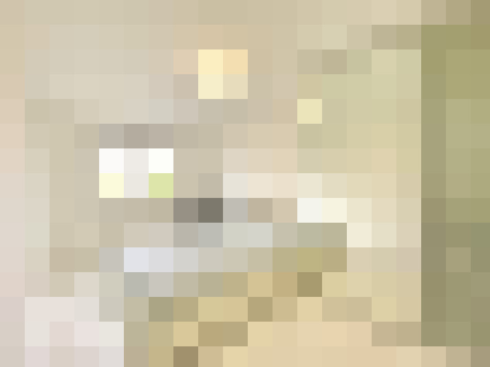  / #12
