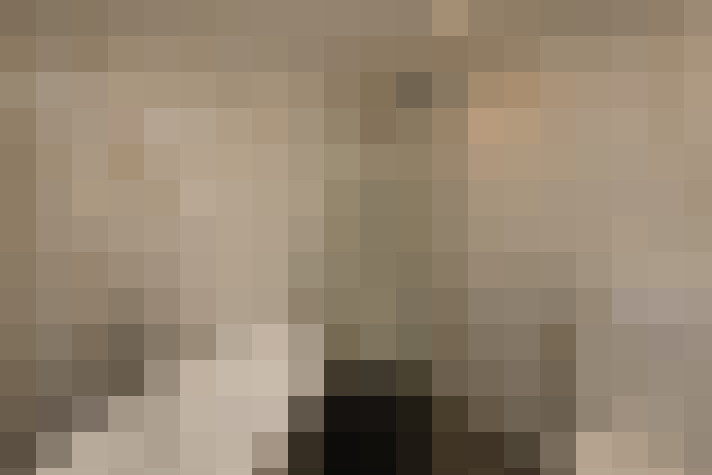  / #19