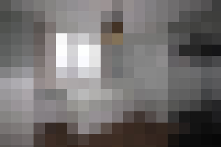  / #11