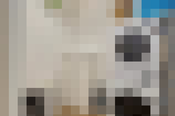  / #24
