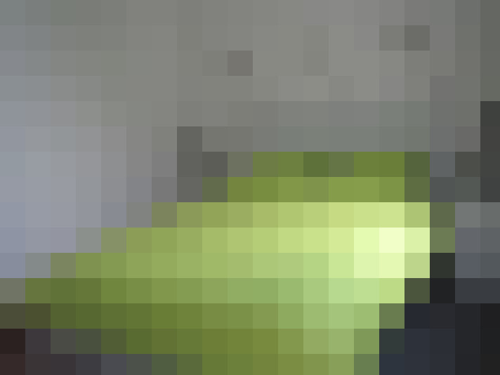  / #11