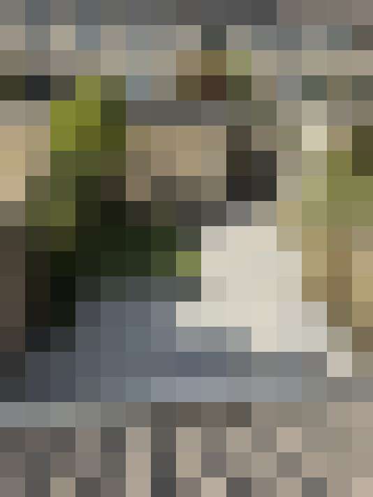 / #14