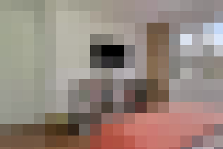  / #18