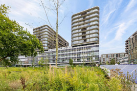 Apartment in Amsterdam