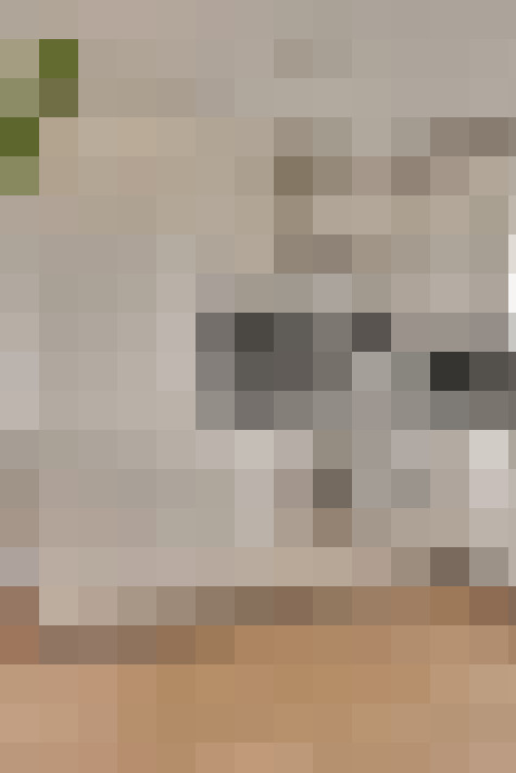  / #16